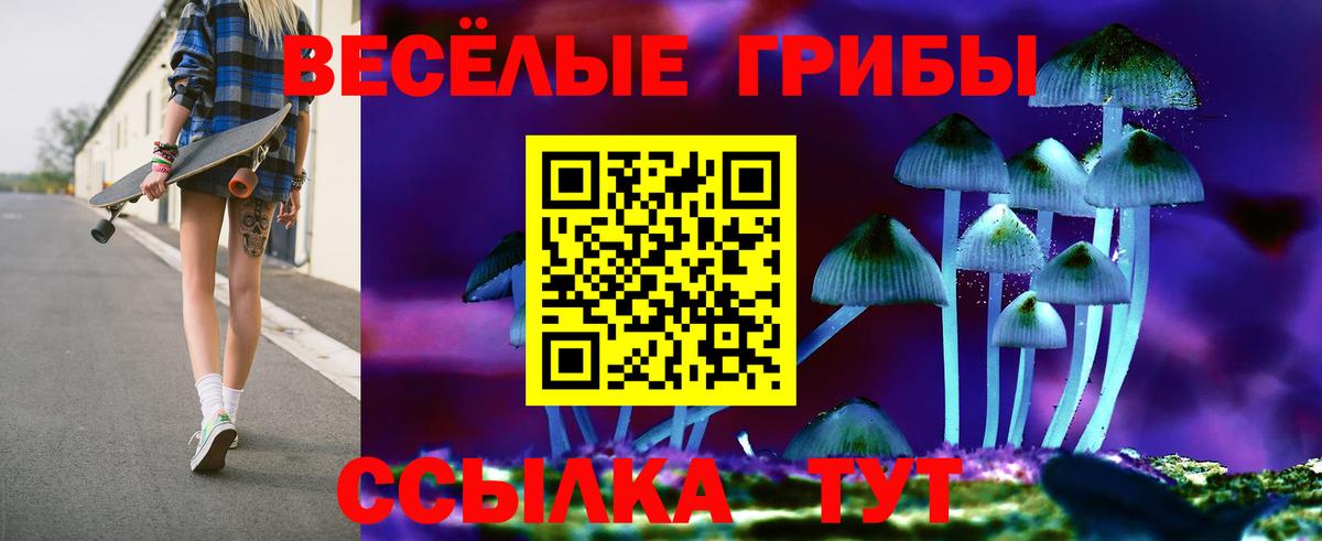 Галлюциногенные грибы Cubensis Орёл
